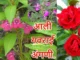 आली गवराई अंगणी…