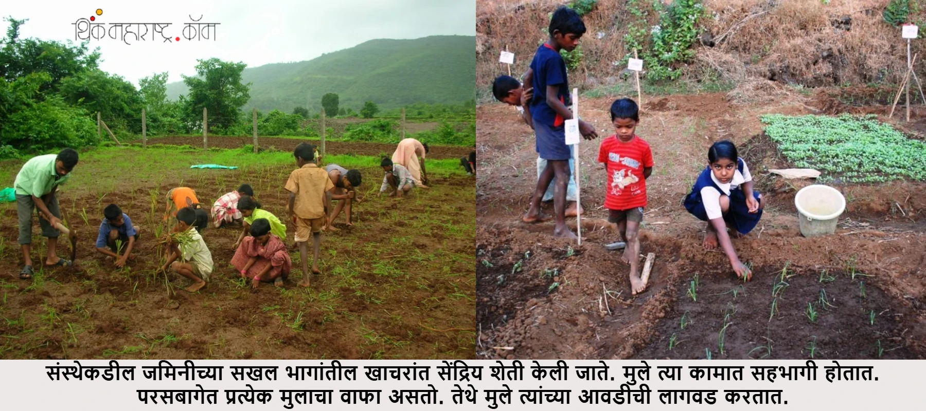 -childrens-doing organic farming-