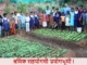 श्रमिक सहयोगची प्रयोगभूमी ! (Prayogbhumi – Chiplun Institution for Adiwasi Education)